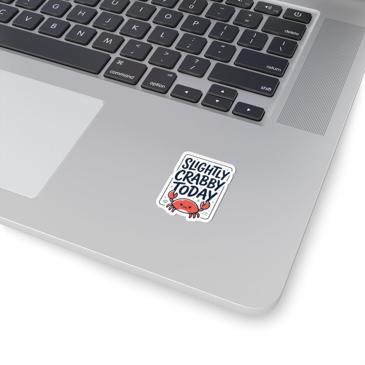 Slightly Crabby Today Crab Sticker | Cute Moody Coastal, Sarcastic Humour
