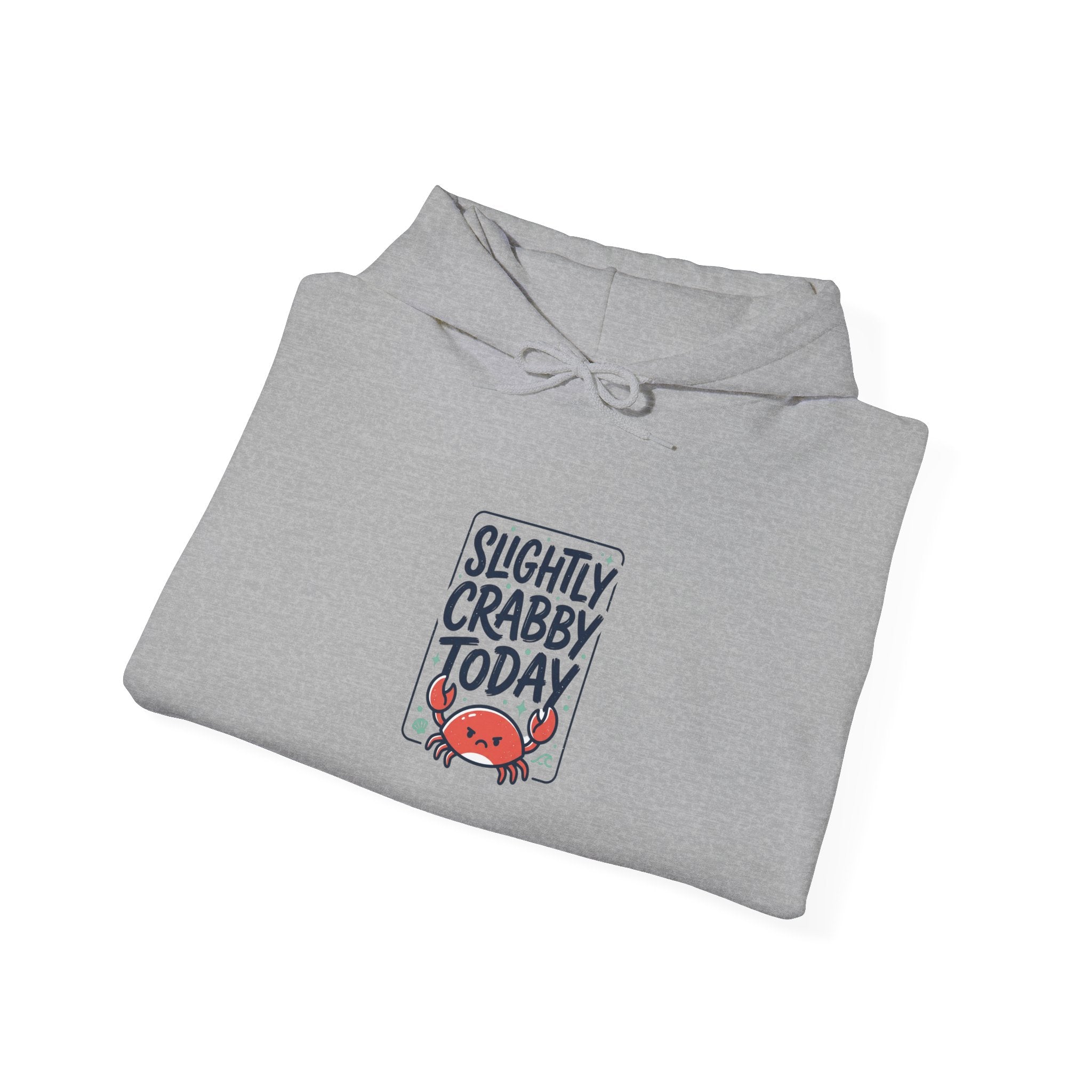 Slightly Crabby Today Hoodie | Cute Grumpy Crab, Coastal Mood Humor
