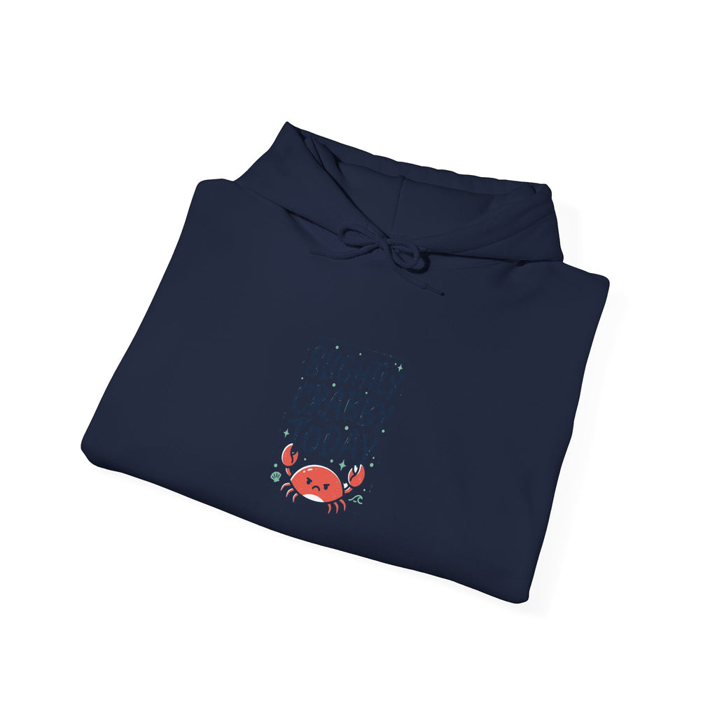 Slightly Crabby Today Hoodie | Cute Grumpy Crab, Coastal Mood Humor