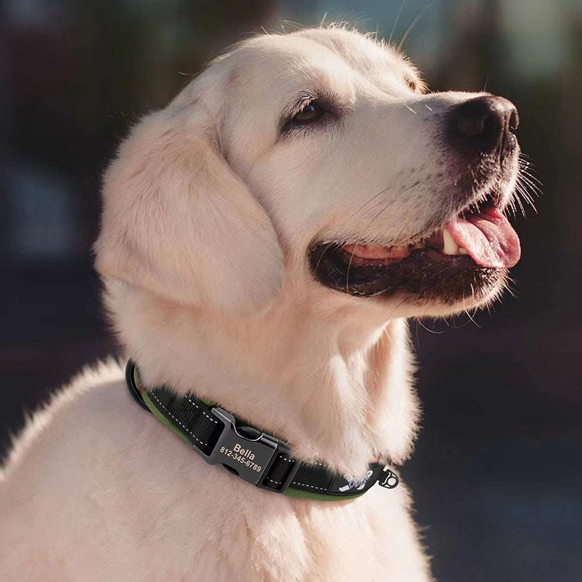 Personalized Dogs Padded Collars Reflective | Custom Name ID Tag Dog Collar | Collar for Pet Small Medium Large Dog - C1532- SLKZGXQ