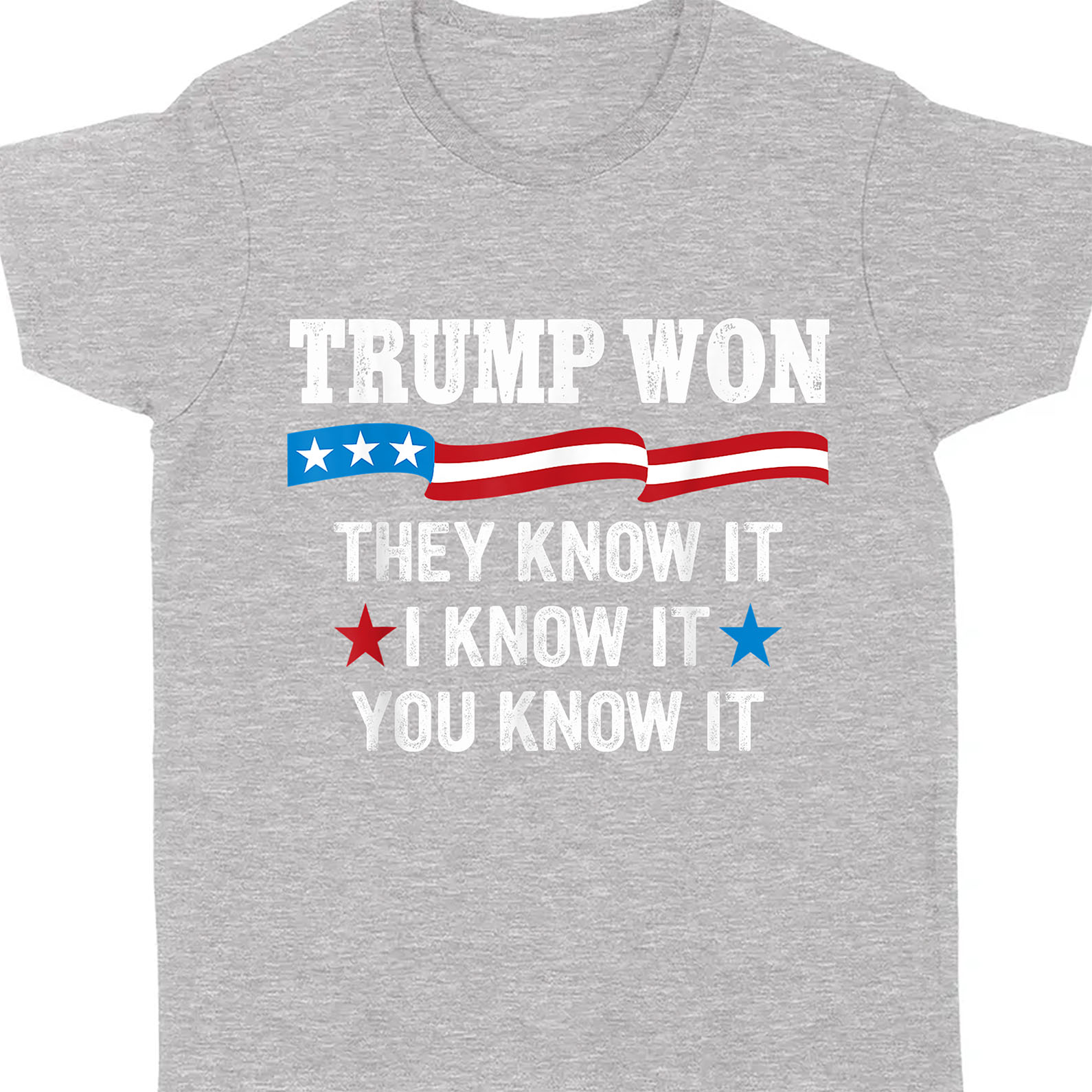 They Know It I Know It You Know It , Trump Won, Trump Wining Election Shirt, Trump 47th President Shirt Dark T1711 - GOP