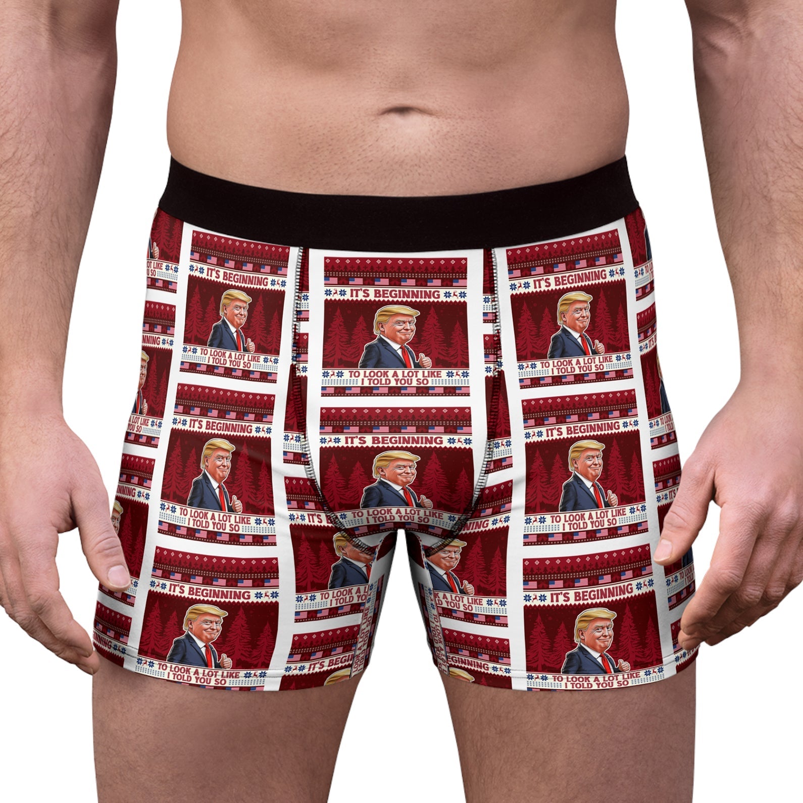 It's Beginning To Look A Lot Like I Told You So Boxer Briefs, Trump Christmas Gift, Trump Boxer Briefs 681740 - GOP